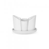 shop_items_catalog_image122160a53934b297dd0ae2504c820f0eed6b2